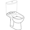 Geberit stojąca miska WC Selnova do spłuczki nasadzanej, lejowa, odpływ poziomy, Rimfree 500.283.01.5