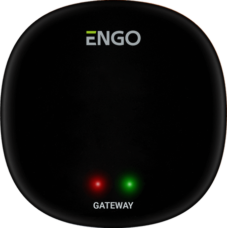 Engo bramka internetowa ZigBee do urządzeń serii ENGO Smart EGATEZB