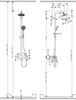 Hansgrohe zestaw prysznicowy: deszczownia Croma 160 27135000