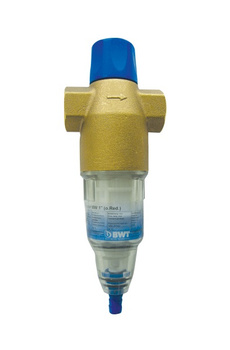 BWT filtr do wody z płukaniem wstecznym Protector BW 1" (810417) 240004463