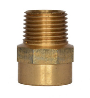 IBP nypel przejściowy LWxGZ 4243g 22x1/2 4243G022004000