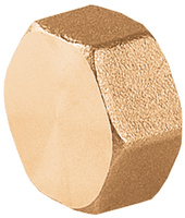 Perfexim zaślepka mosiądz 1/2" 5102 G1/2 W PN16 07-202-0150-000